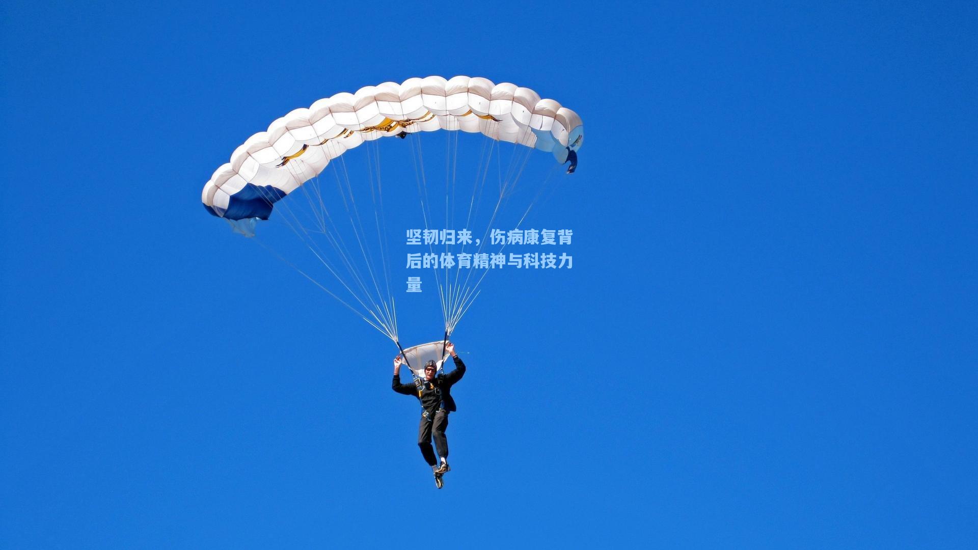 坚韧归来，伤病康复背后的体育精神与科技力量