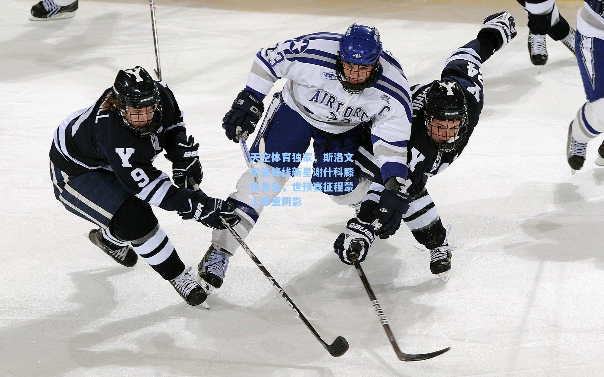 天空体育独家，斯洛文尼亚锋线新星谢什科膝伤告急，世预赛征程蒙上厚重阴影